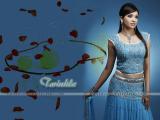 Twinkle-wallpapers-3