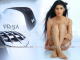 Vidya-wallpapers-3
