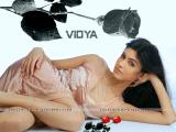Vidya-wallpapers-4