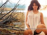 Vidya