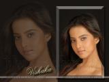 Vishaka