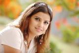 Beebatsam-working-Stills-11