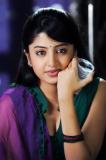 Bramhi Gadi Katha Movie Stills (14)