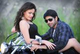 Current-Working-Stills-026