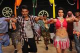 Kodi-punju-item-song-stills-002