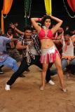 Kodi-punju-item-song-stills-003