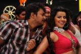 Kodi-punju-item-song-stills-004