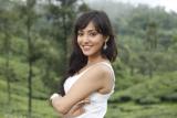Kurradu-working-Stills-054