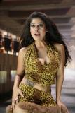 Mallika-I-Love-you-working-stills-010