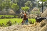 Mr.Lavangam Movie stills (13)