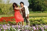 Nachav-Alludu-Working-Stills-11