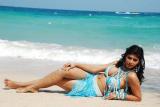 Nachav-Alludu-Working-Stills-2
