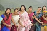 Nagavalli-working-stills-001