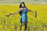 Nagavalli-working-stills-012