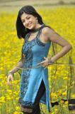 Nagavalli-working-stills-018