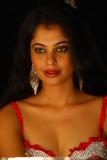 Pilla Zamindar Movie New Stills (1)