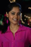 Pilla Zamindar Movie New Stills (11)