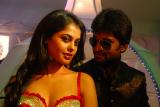 Pilla Zamindar Movie New Stills (12)