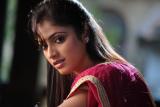Pilla Zamindar Movie New Stills (19)