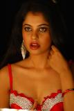 Pilla Zamindar