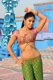 Pista-Working-Stills-16