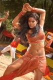Punnami-Nagu-working-Stills-004