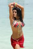 Raju-Maharaju-working-Stills-12