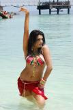 Raju-Maharaju-working-Stills-13