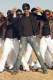 Telugu Movie-'Wanted'-working-stills-007