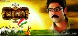 Adhineta-wallpapers-9
