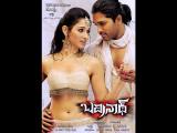Badrinath Movie Latest Wallpapers (17)