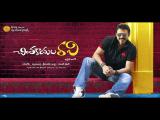 Chintakayala-Ravi-8