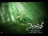 Nelavanka-wallpapers-6