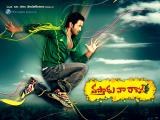 Vastadu Naa Raju Movie Walls (1)