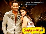 Vastadu Naa Raju Movie Walls (5)