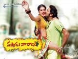 Vastadu Naa Raju Movie Walls (6)